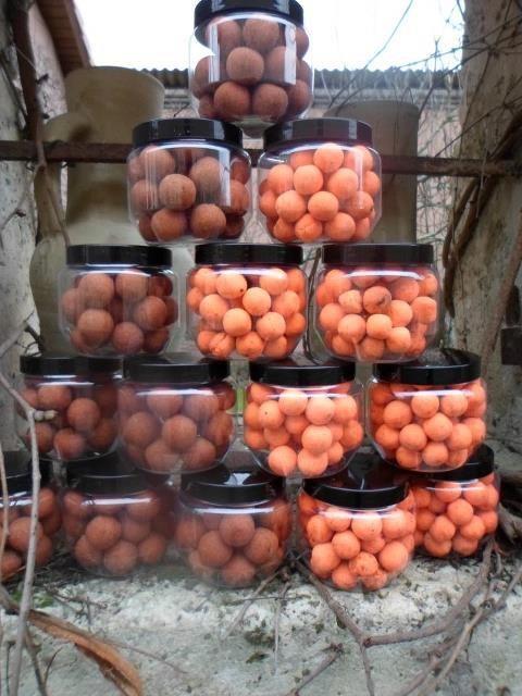 sa trecem la treaba - 5439452039528397453071635050079n.jpg